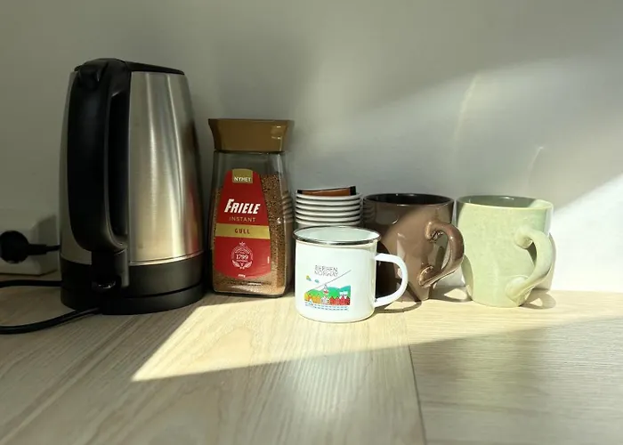 In The Middle Of In A Real Bergenshus From The 18th Century Μπέργκεν